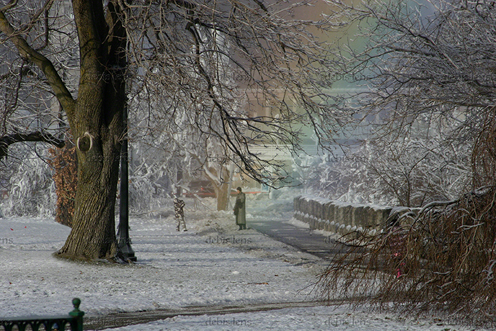 Niagara Rainbow